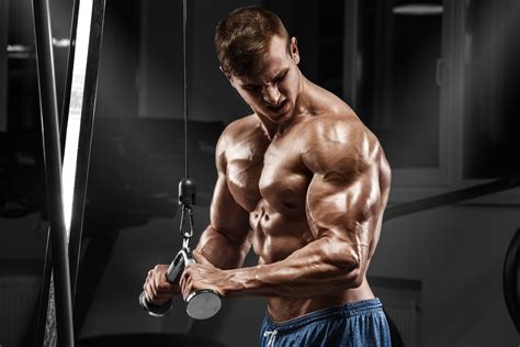 Hd muscle. Things To Know About Hd muscle. 